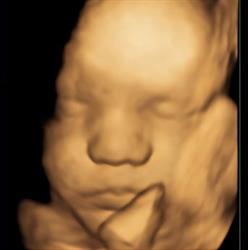 Gyne Clinique. CMI dr Harangozo Kinga