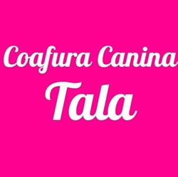Coafura Canina Tala