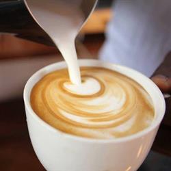 Derby Caffe