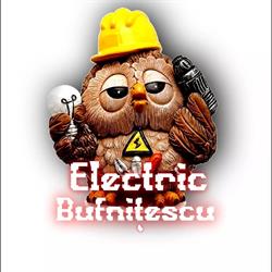 Electric Bufnitescu