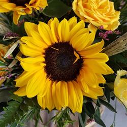 Floraria Sunflower