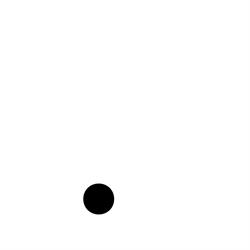 BOLD. Branding Studio