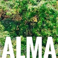 Alma Gardens