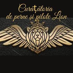 Curăţătoria de perne