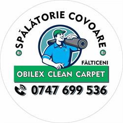 Obilex Clean Carpet