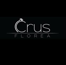 Icrus Florea