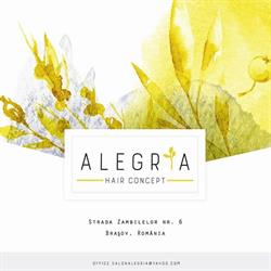 Alegria Hair Concept