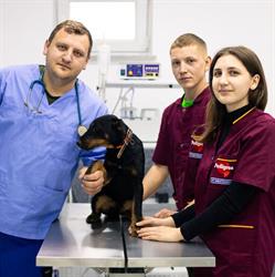 ZubiVet Cabinet si Farmacie Veterinara