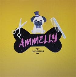 Amelly Salon