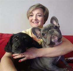 Dog Spa Salon