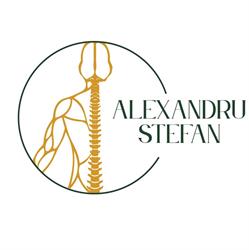 Alexandru Stefan Therapist