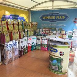Winner Plus Depozit Principal