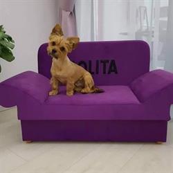 Catelul rasfatat