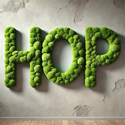 HOP - House of papa