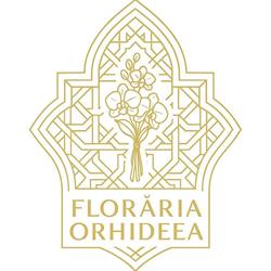 Floraria Orhideea