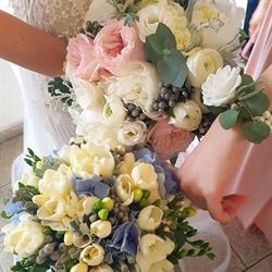 Floraria Mival