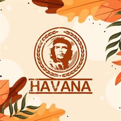 Havana Focsani