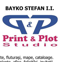 Print Plot Studio