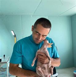 Cabinet Veterinar Dr.Sibisan Nicolae