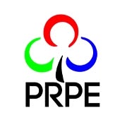 Partida Romilor Pro-Europa