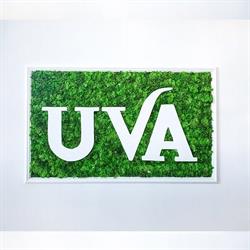UVA Restaurant