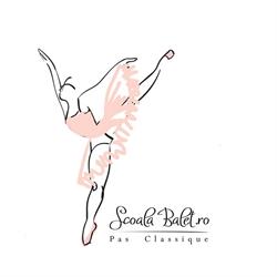 Pas Classique Ballet