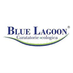 Blue Lagoon Clean HQ