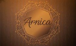 Boutique Villa Arnica