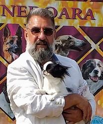 Amber Flowers - Chihuahua and Japanese Chin