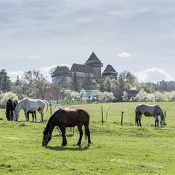 Transylvania on Horseback