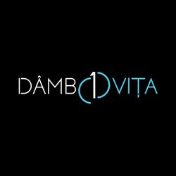 Dâmboviţa 10