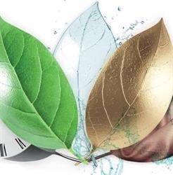 Spălătorie şi curăţătorie ecologică textile şi covoare