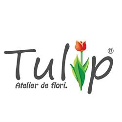 Tulip Atelier De Flori