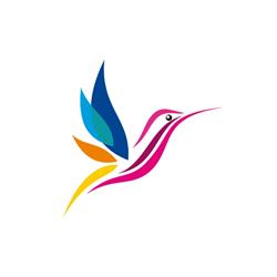 FlyPrint & Design