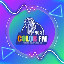 Radio Color 90,3 FM