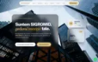 Website Management Constructii