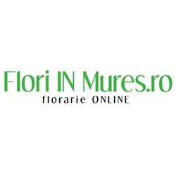 FloriINmures.ro
