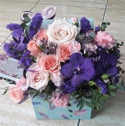 Floraria Gardenia