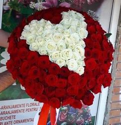 Floraria Soarelui