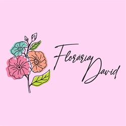 Floraria David