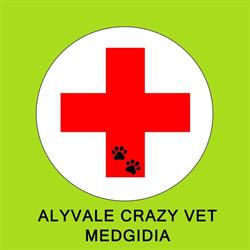 AlyVale CrazyVet
