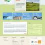 Portofoliu web design