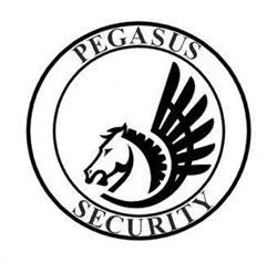 Pegasus Security