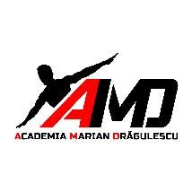 Academia Marian Dragulescu