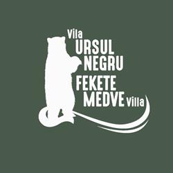 Vila Ursul Negru