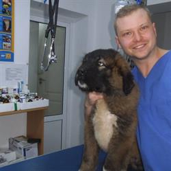 CABINET VETERINAR SI FARMACIE VETERINARA SUCEAVA PRO ANIMALS TINA MED