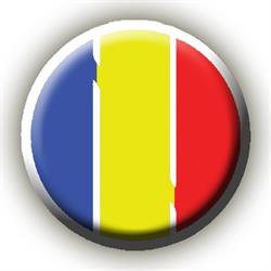 Double Ion - broderie personalizata