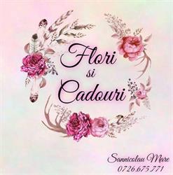 Floraria Flori si Cadouri ( Dancea I. Andreea I.I.)