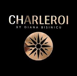Charleroi by Diana Bisinicu