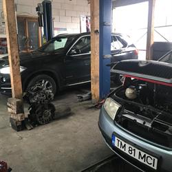 Daio Berce Auto Srl